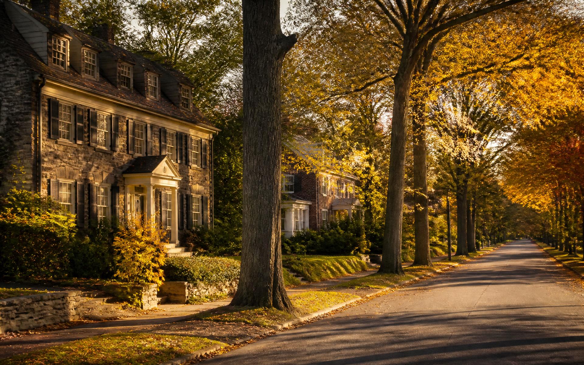Tree lined suburban street in the Delaware Valley at golden hour
